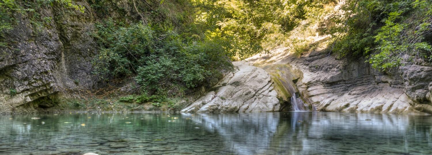 Piscina naturale con acqua cristallina, circondata da rocce e vegetazione rigogliosa.